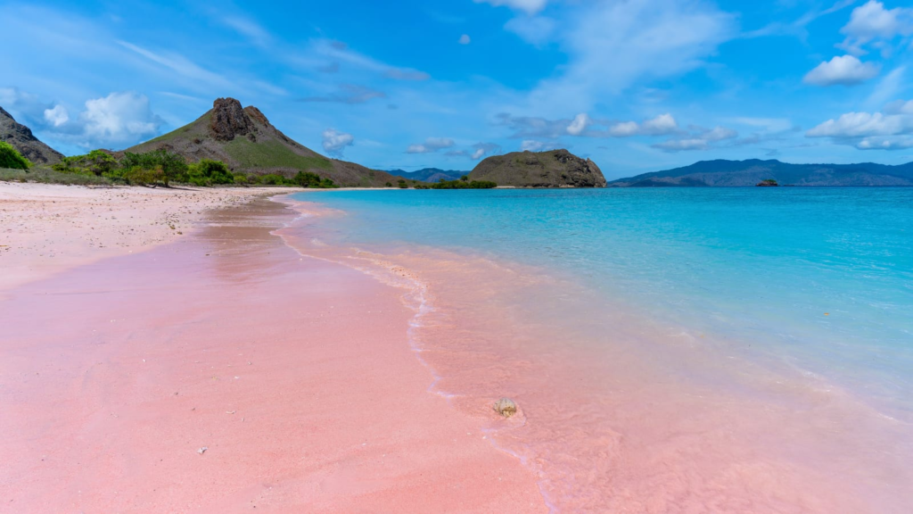 Pink Beach, Komodo, Indonesia