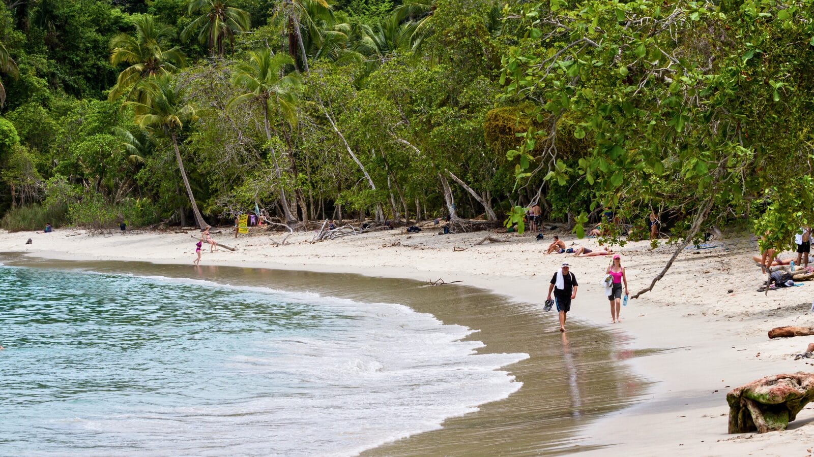 Beach at Manuel Antonio National Park, Costa Rica