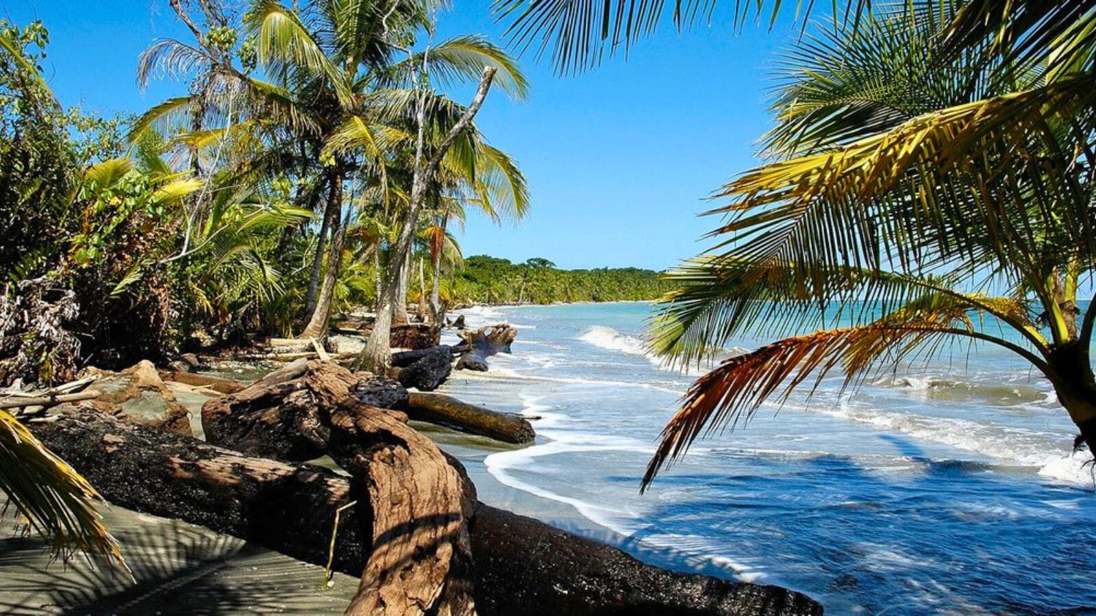 Cahuita National Park