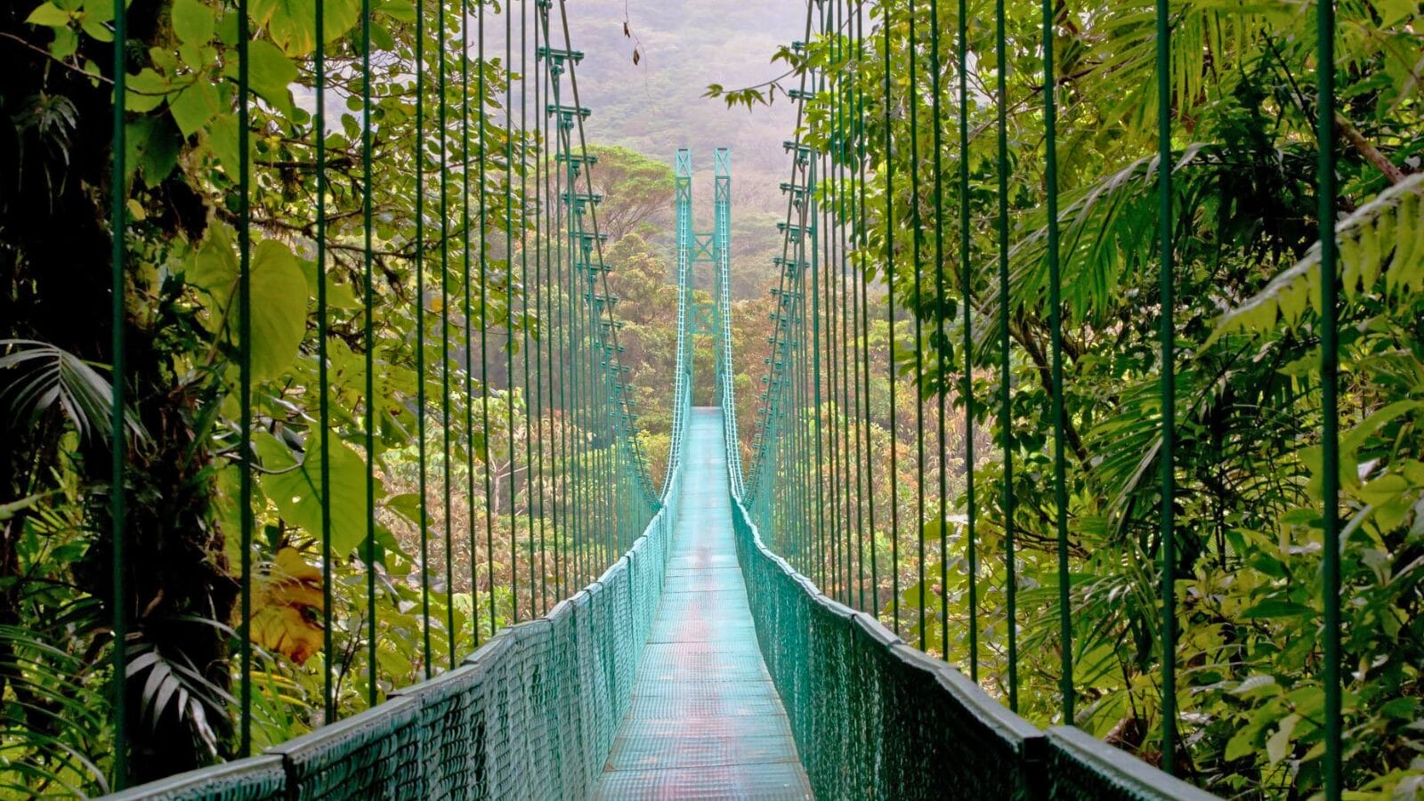 Monteverde Cloud Forest Preserve, Ecotourism Destinations in Costa Rica