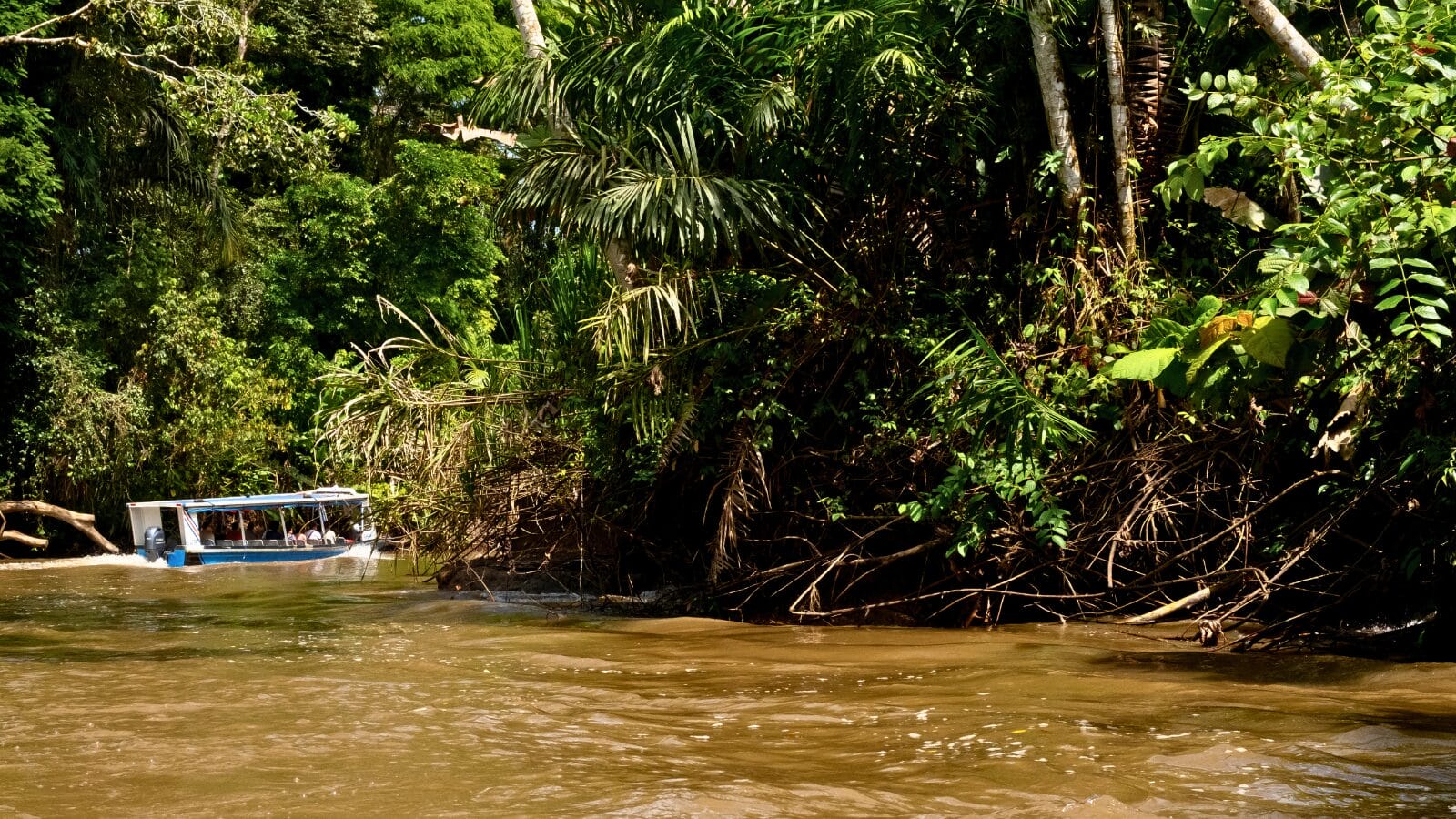 Motorboat Exploring the Tortuguero National Park in Costa Rica