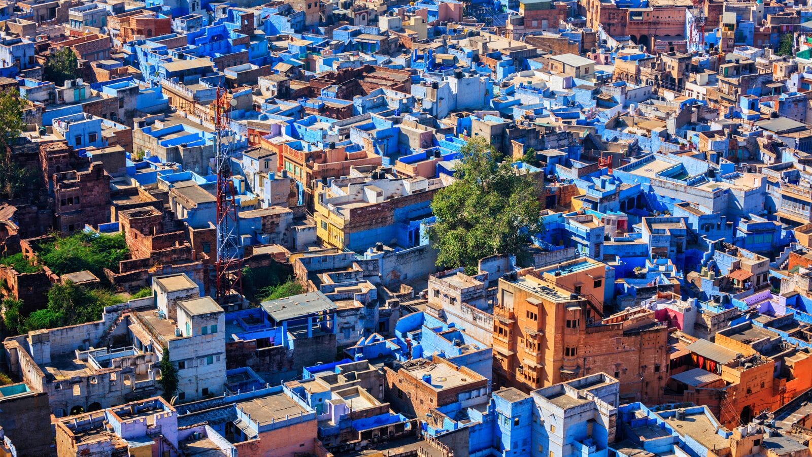 Jodhpur, the Blue City
