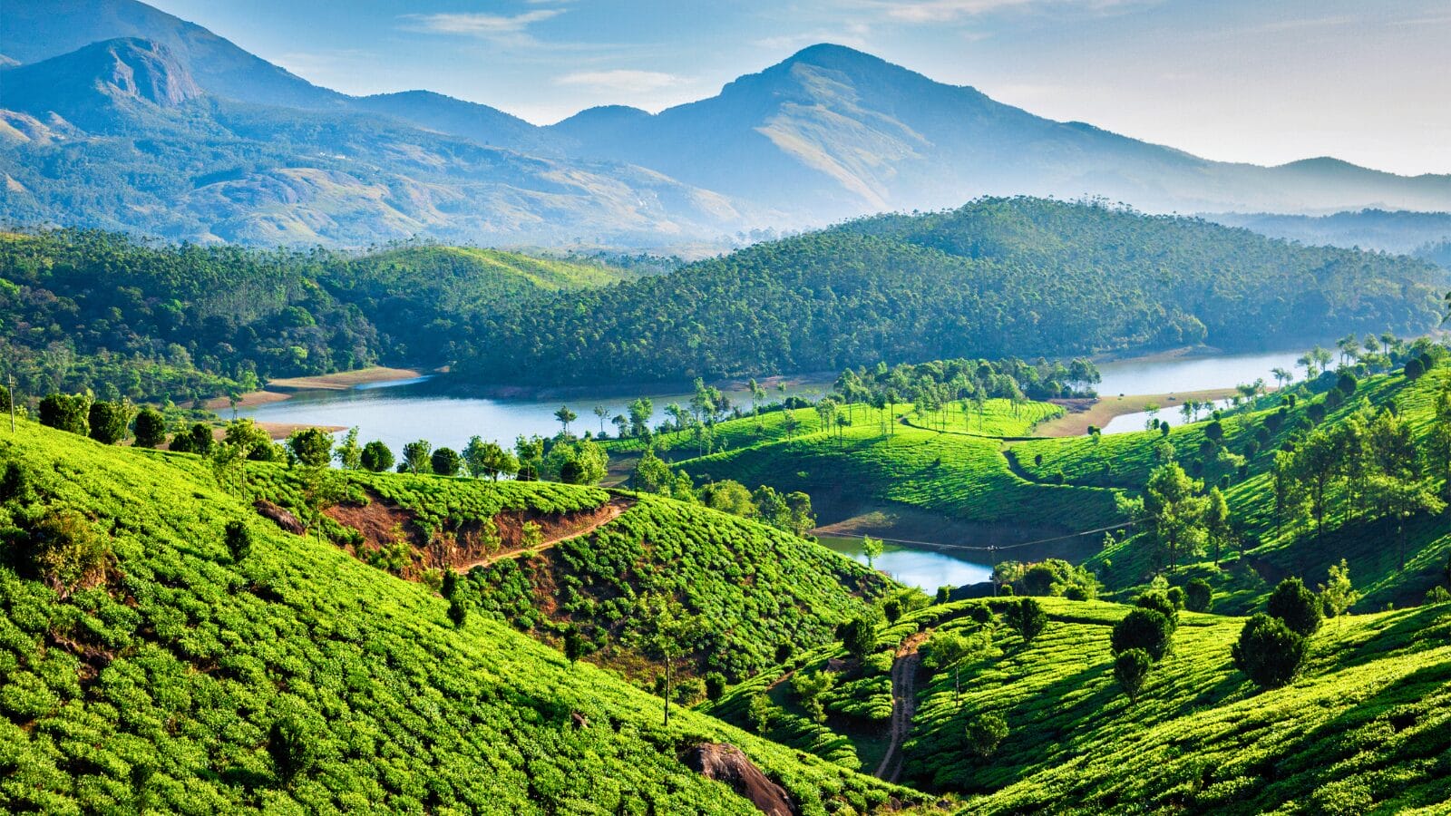 Munnar, Kerala