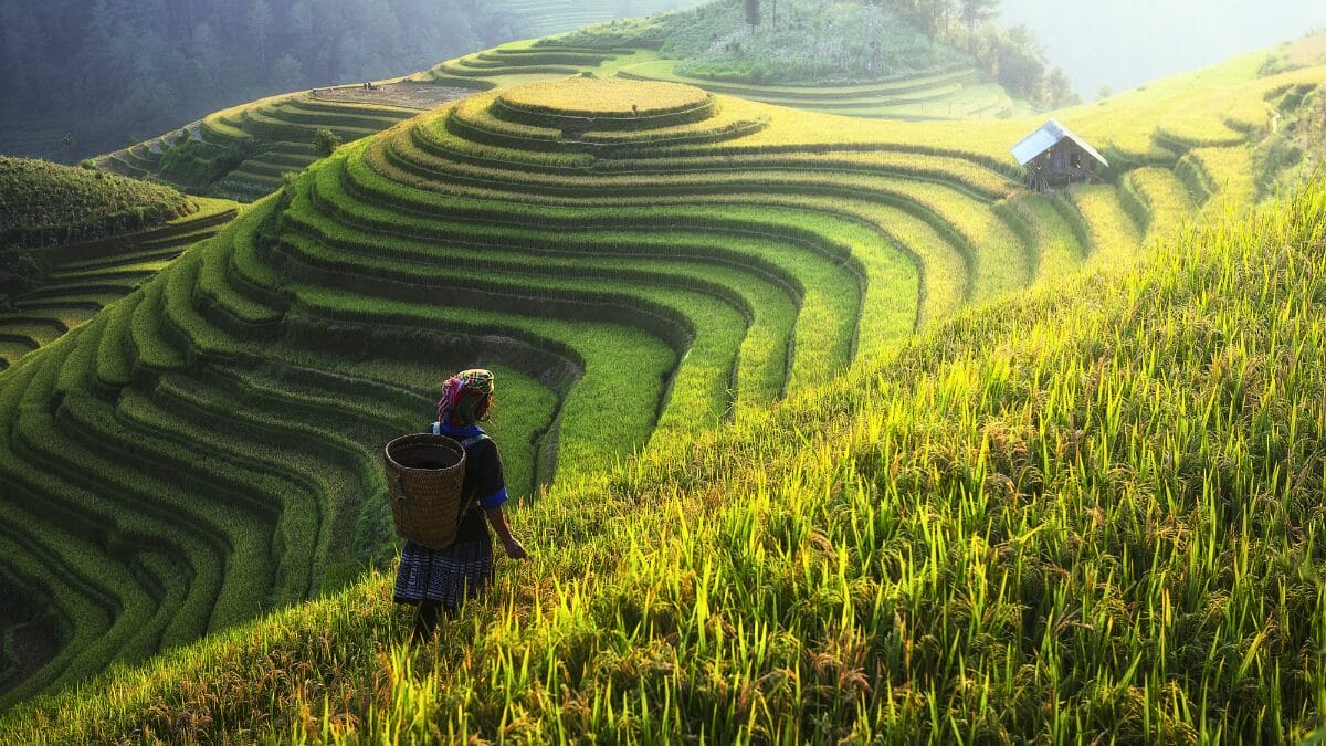 Sapa, Vietnam