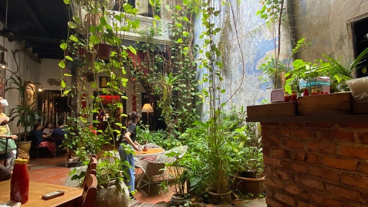 The Baboon House
