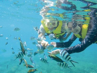 Perhentian Island Snorkeling Day Trip from Kuala Besut Jetty