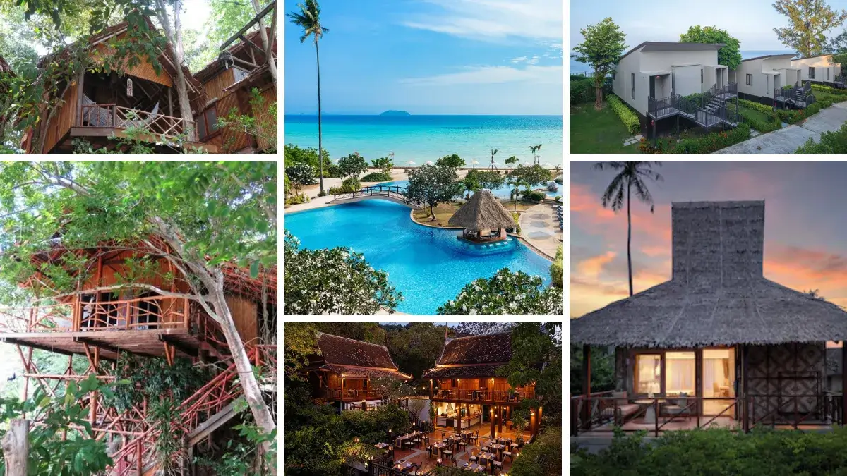 Accommodation Types in Phi Phi Islands