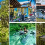 Bok Tower Gardens, Mount Dora, Tavares, Wekiva River, and the Circle B Bar Reserve