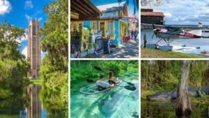 Bok Tower Gardens, Mount Dora, Tavares, Wekiva River, and the Circle B Bar Reserve