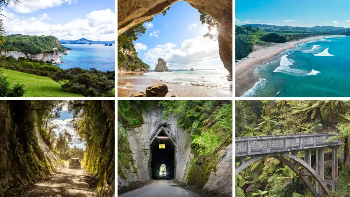 Cathedral Cove, Coromandel (TL and TM), Hot Water Beach, Coromandel (TR), The Forgotten World Highway (BL, BM, BR)