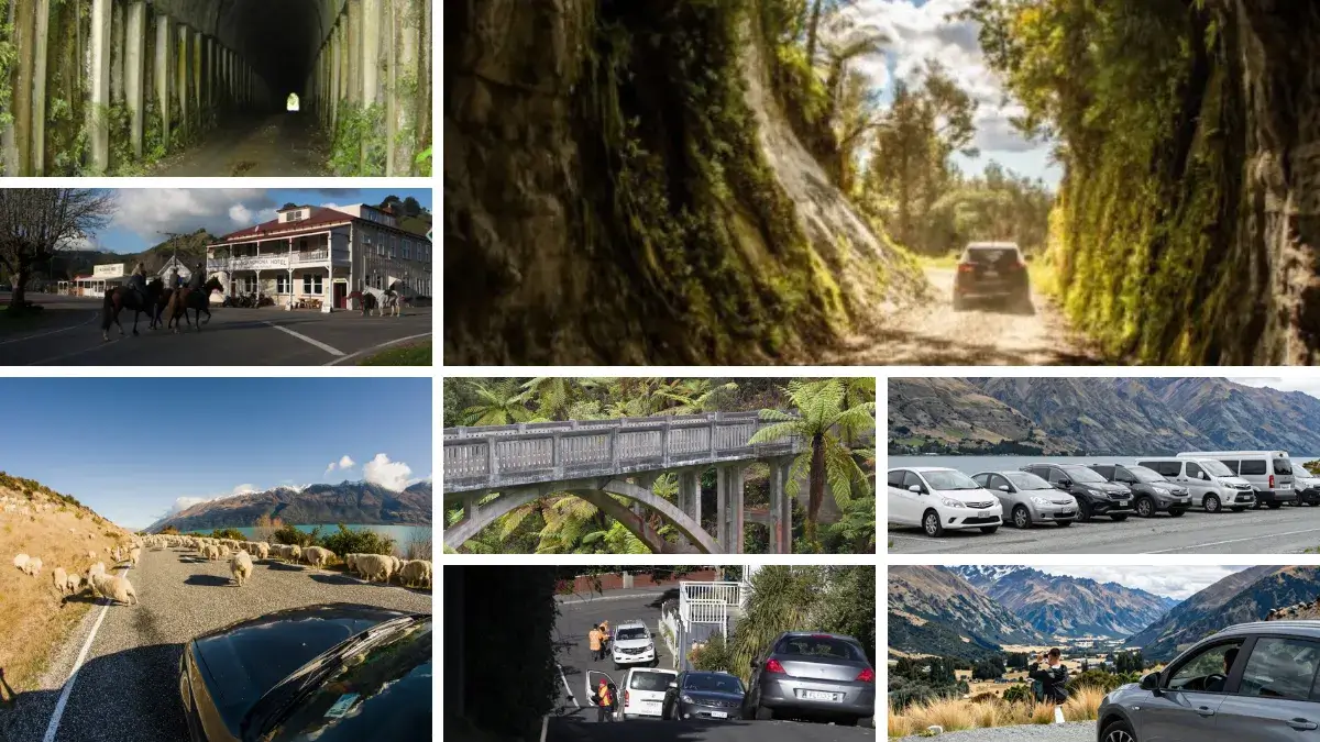 Driving in New Zealand
