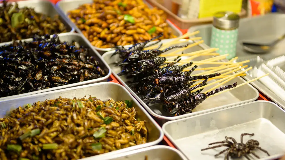 Exotic Food in Khao San Road at Night in Bangkok