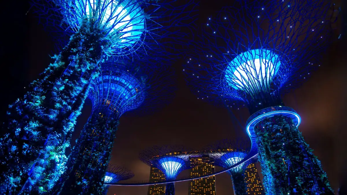Gardens by the Bay Supertree Grove illuminated at night with futuristic vertical gardens