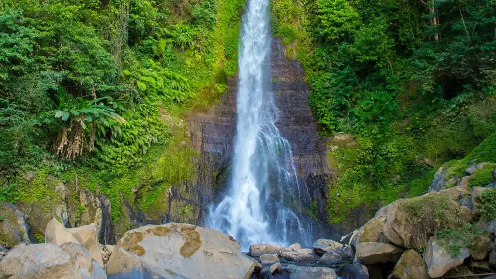 Gitgit waterfall in North Bali jungle - Bali Travel Guide