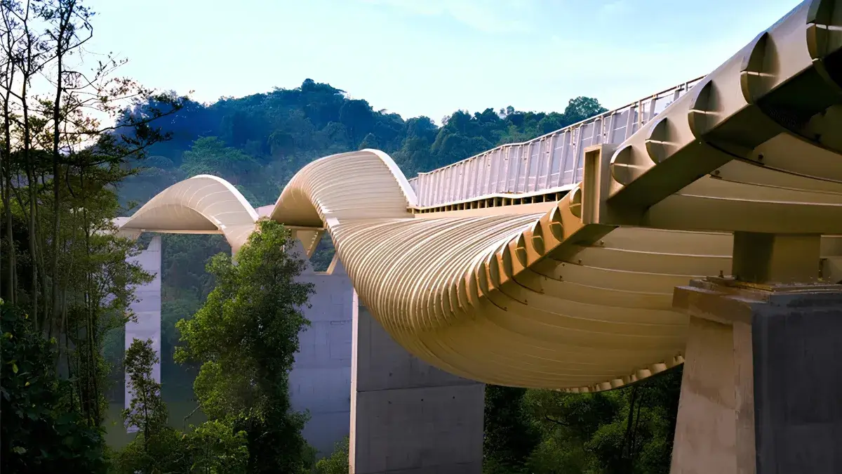 Henderson Waves pedestrian bridge along Southern Ridges trail elevated above forest canopy