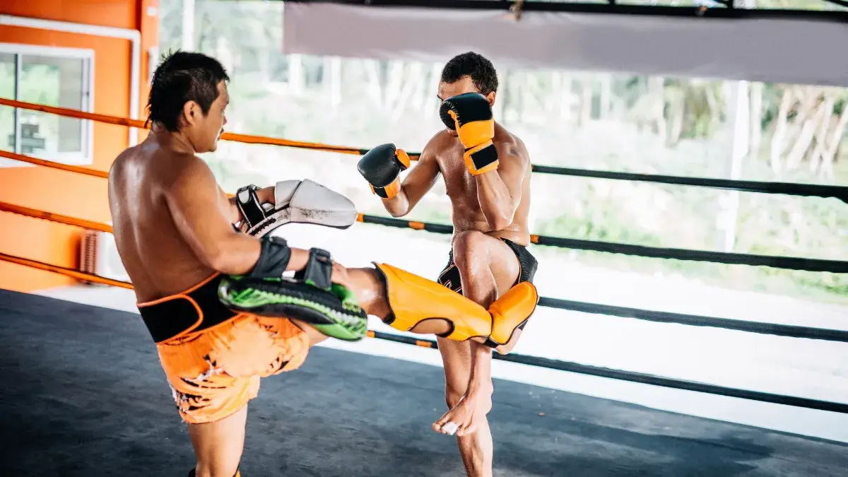 Muay Thai Fights Chiang Mai