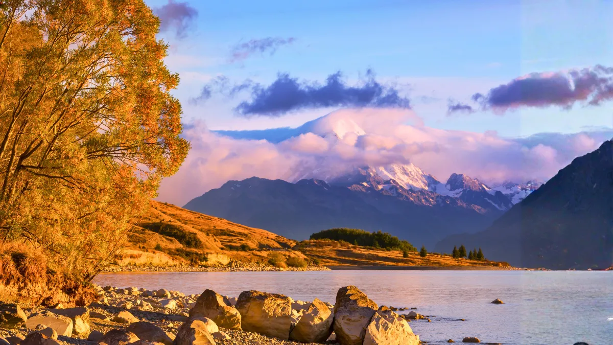 New Zealand autumn foliage around Lake Wanaka