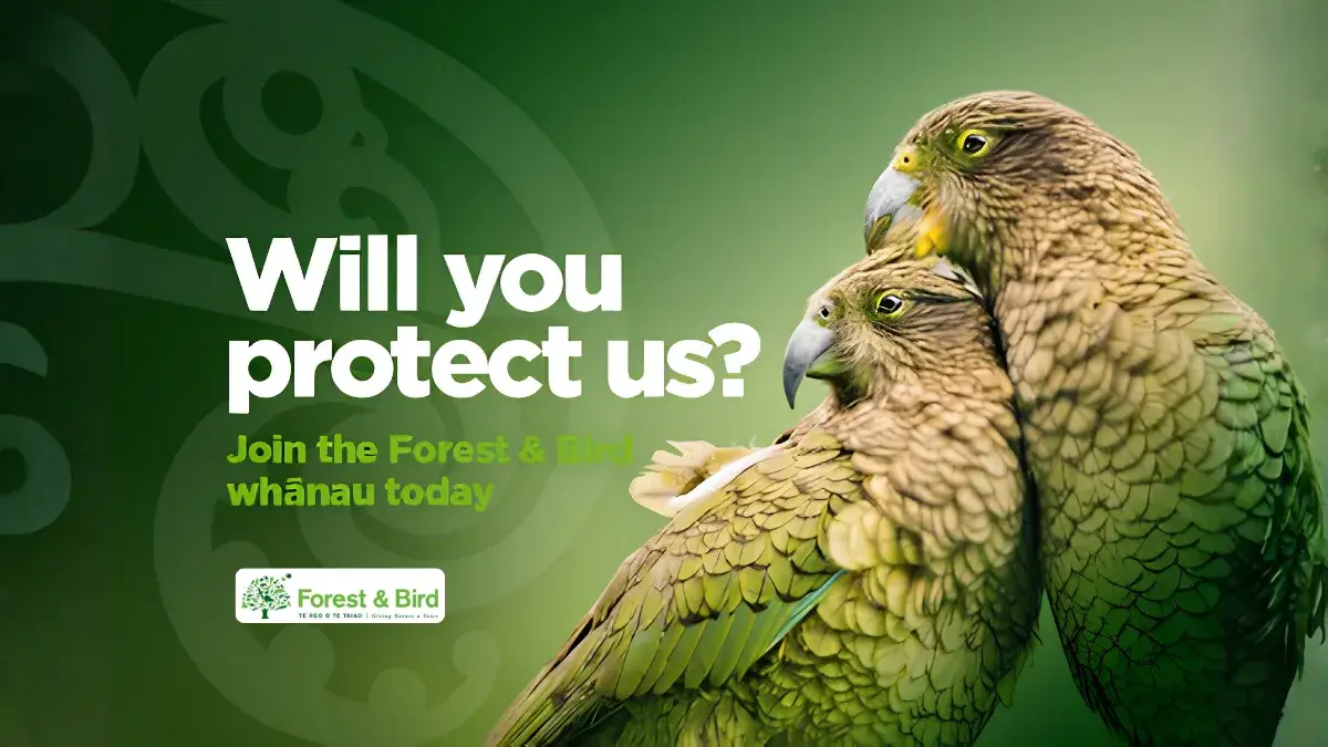 New Zealand conservation and environmental protection