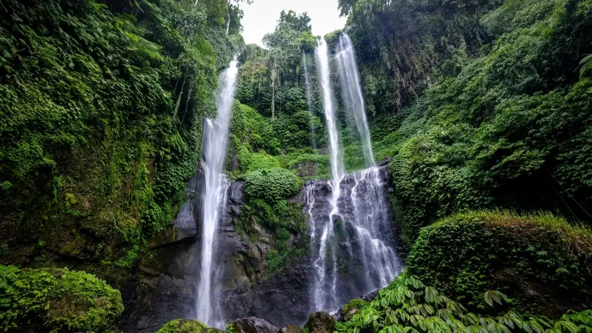 Sekumpul waterfall cascading through lush jungle