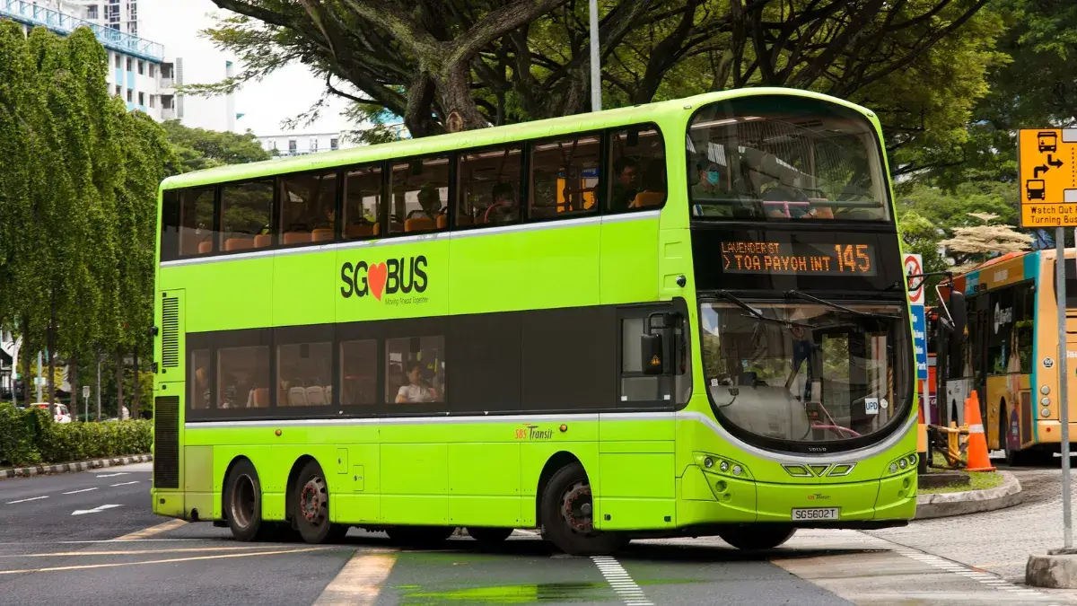 Singapore public bus on city street showing the extensive bus network coverage