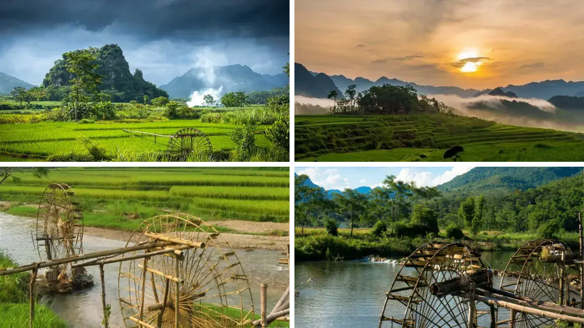 Traditional bamboo water wheels in Pu Luong rice paddies with mountains