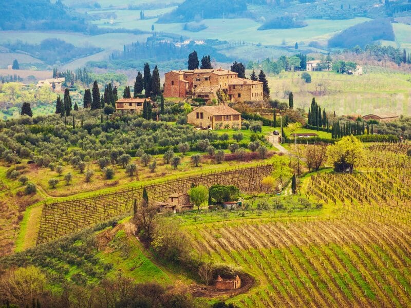 Tuscany Wine Tasting