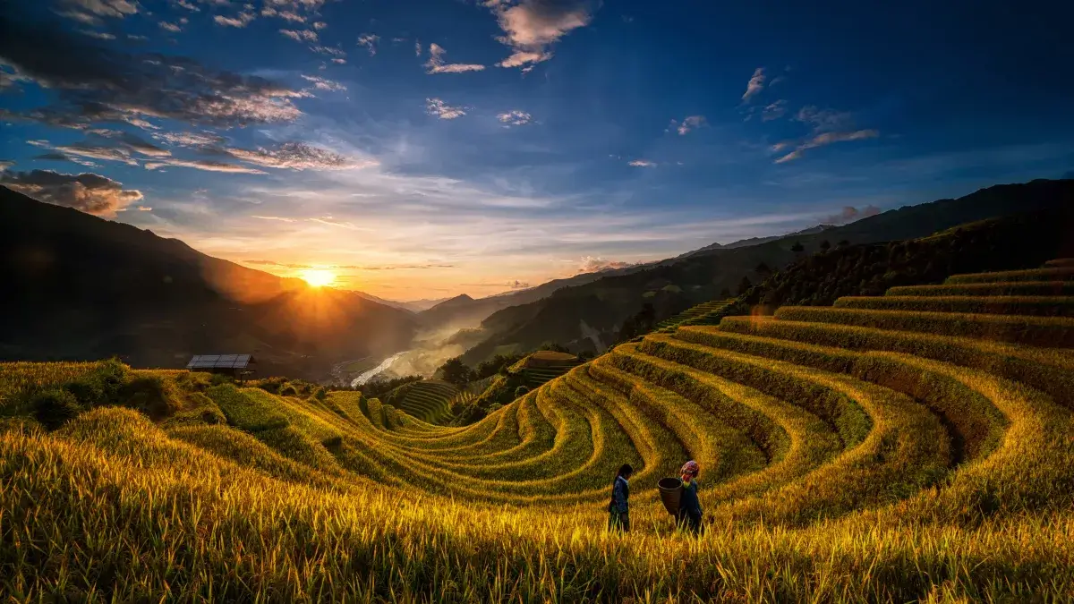 Two Vietnamese Hmong Walking Through Rice Paddies at Sunset