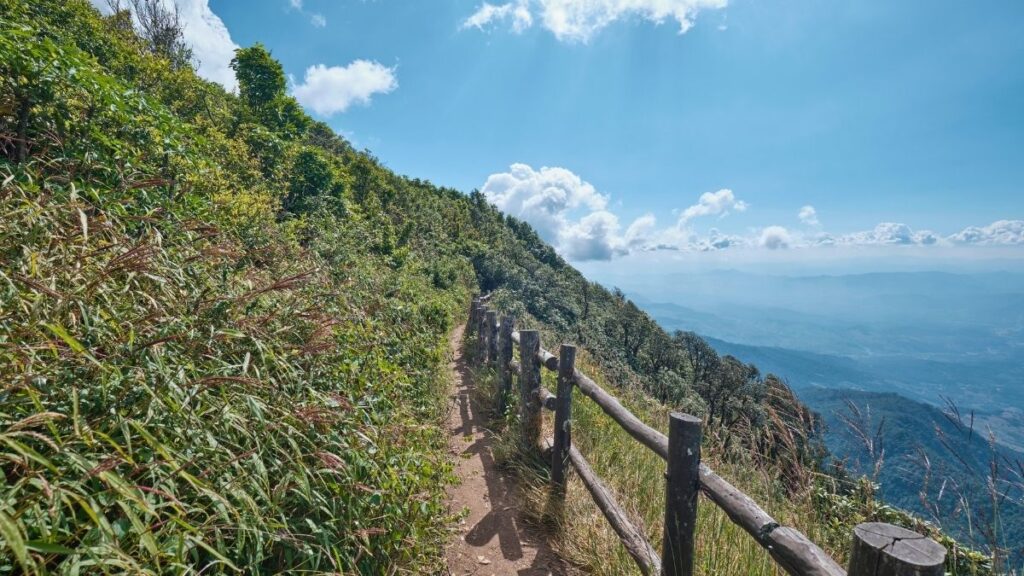 Heading down from the Kew Mae Pan Mountain Ridge