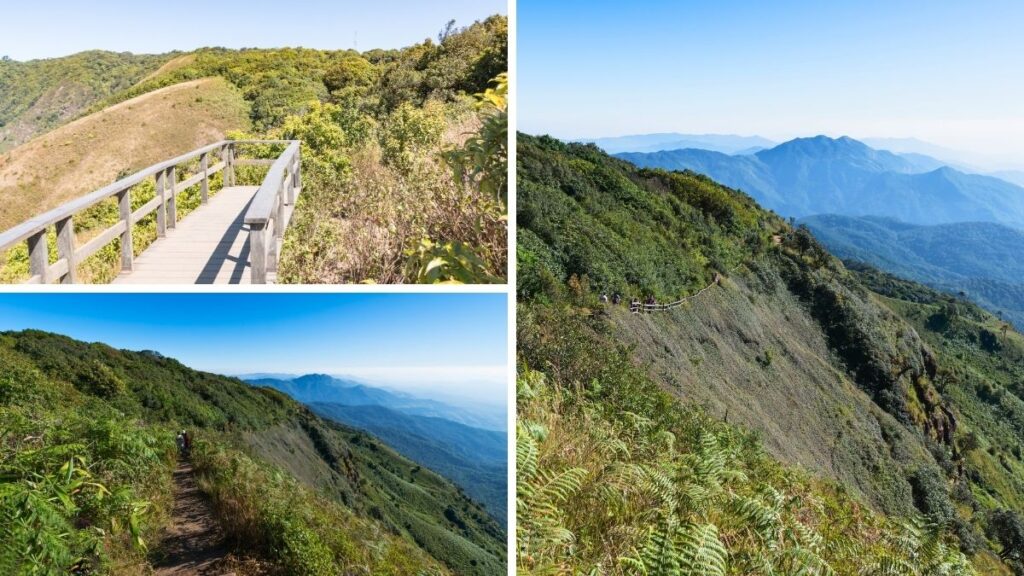 Collage showing mountain hiking trails, a wooden boardwalk, a hiker, and expansive layered mountain views