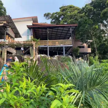 the view hostel