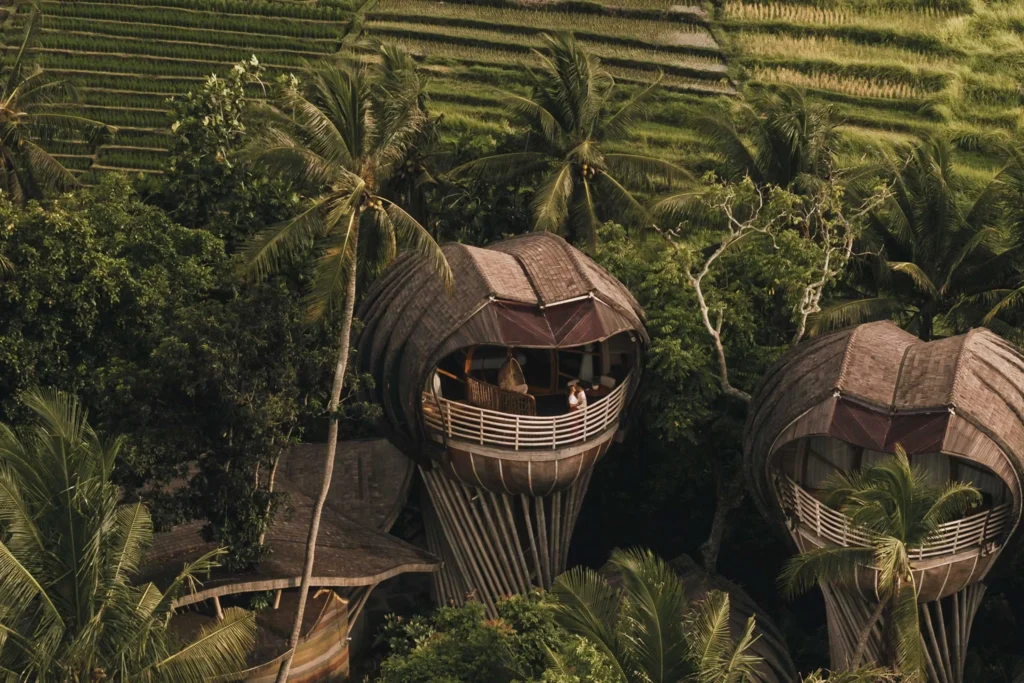 Avatar Tree House - Elevated among the treetops, Ulaman's Avatar Tree House Villas offer a truly unique sanctuary, surrounded by breathtaking rice field views and lush jungle landscapes