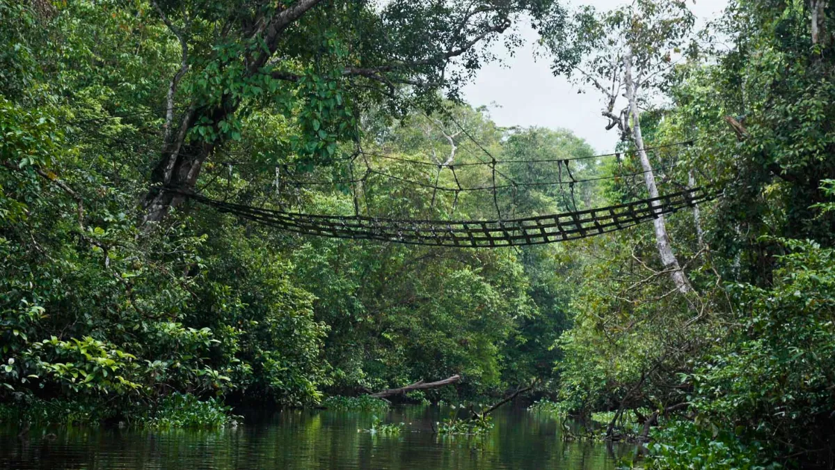 Kinabatangan River Malaysian Borneo