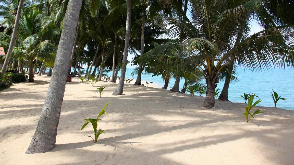 Maenam Beach