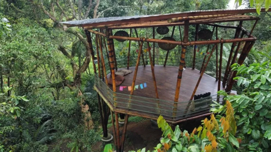 Open air yoga studio