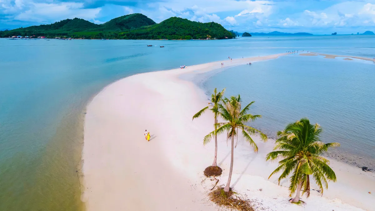 Palm Trees on the beach Koh Yao Yai Island Thailand