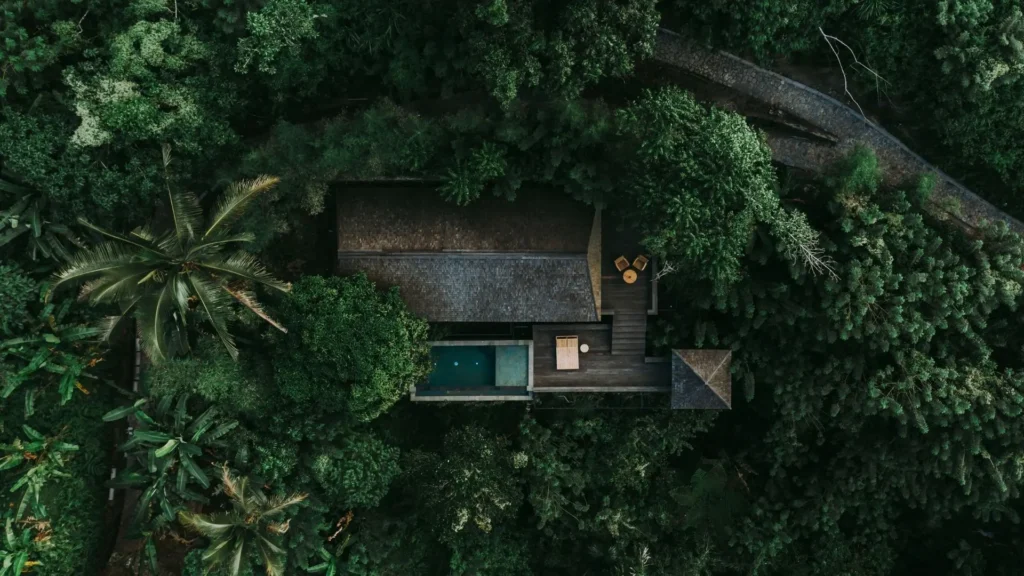 Rainforest Pool Bale View