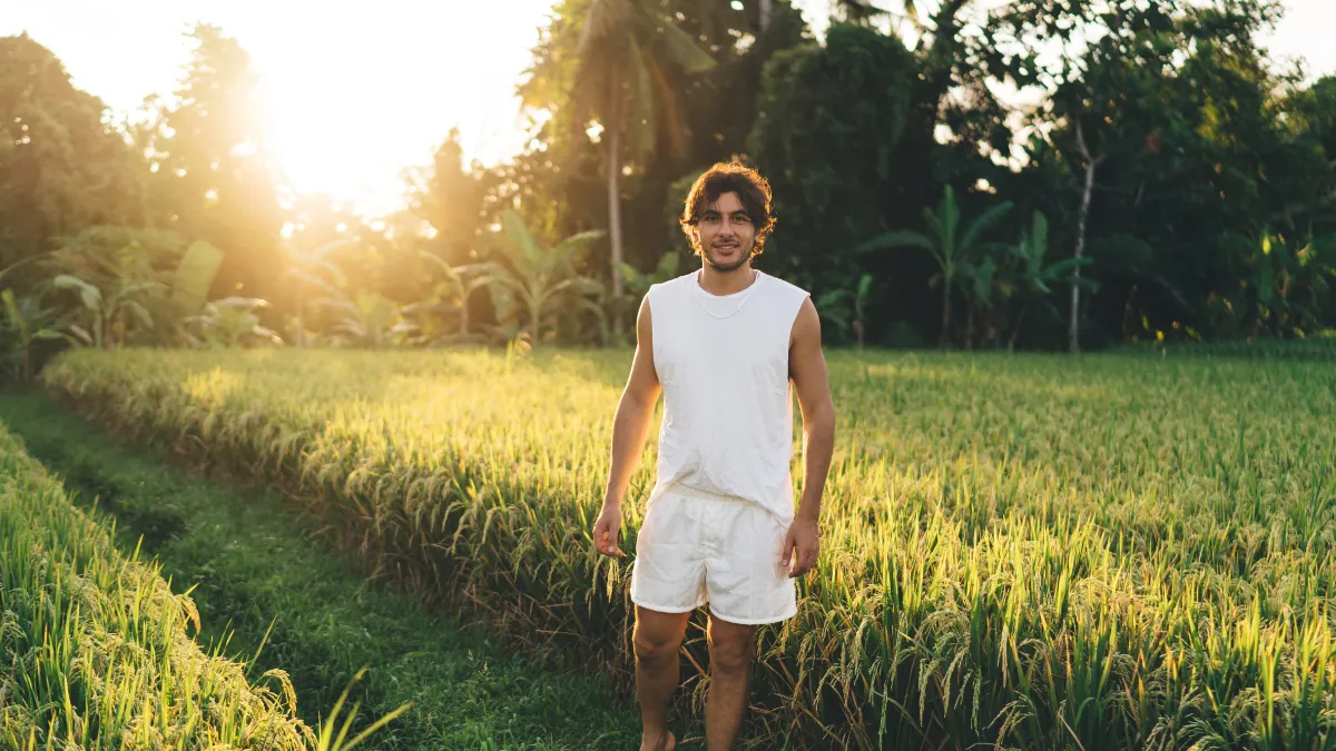 Rice Plantations at Twilight - Don't forget about mosquitos