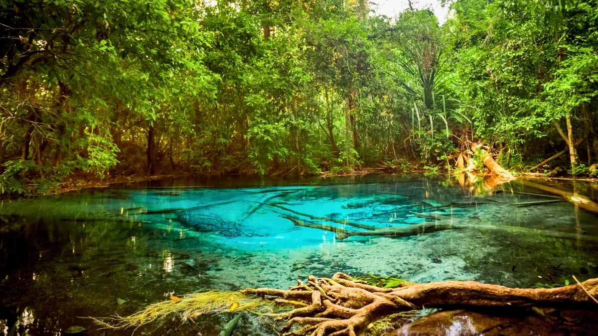 Sra Morakot Blue Pool (the Emerald Pool) in Thung Teao Forest Natural Park