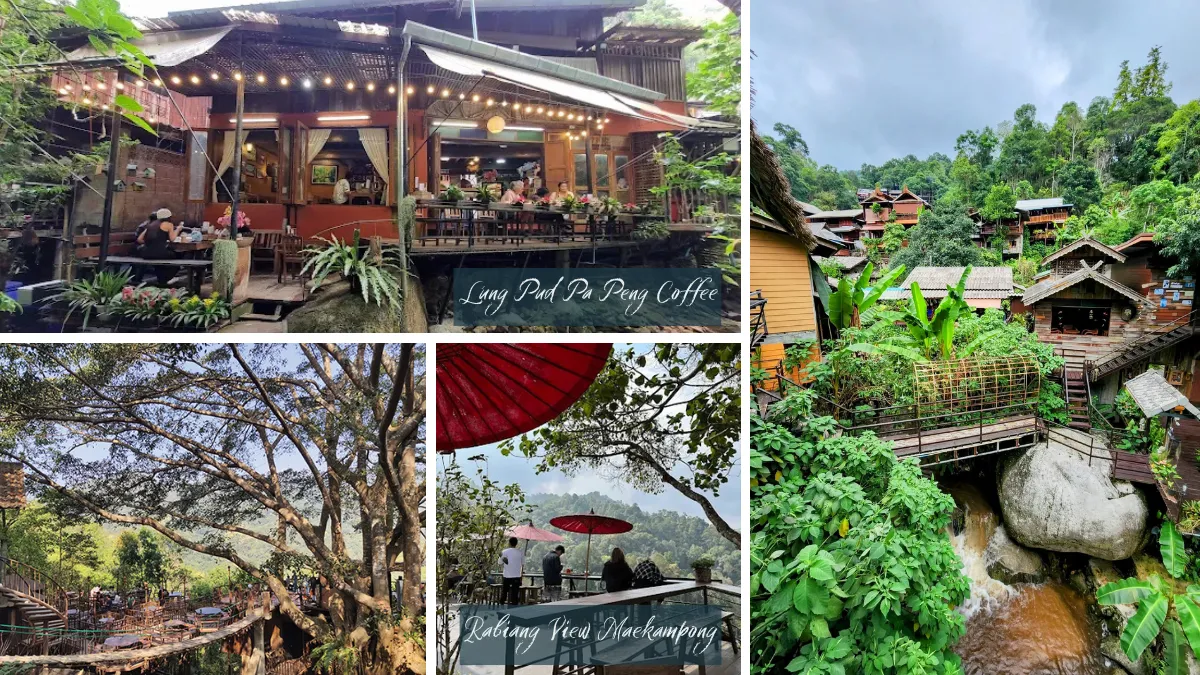 Tree top coffee shops and homestays built into the natural environment - Mae Kampong Village