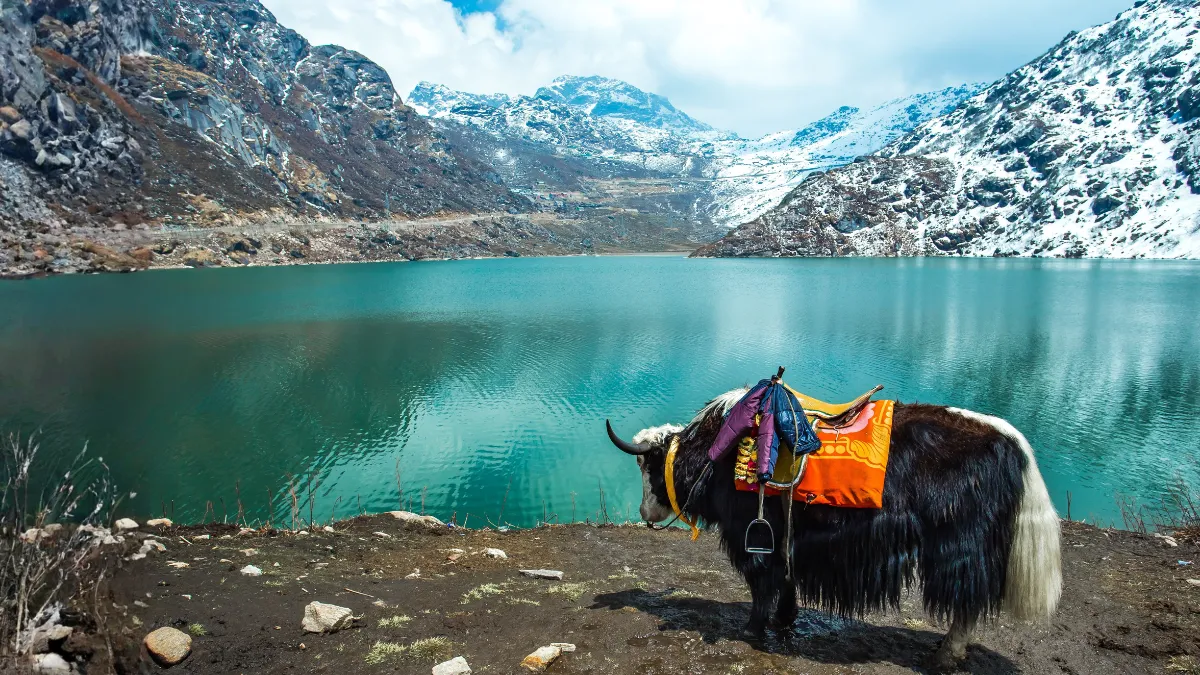 Tsangmo Lake in Sikkim, India