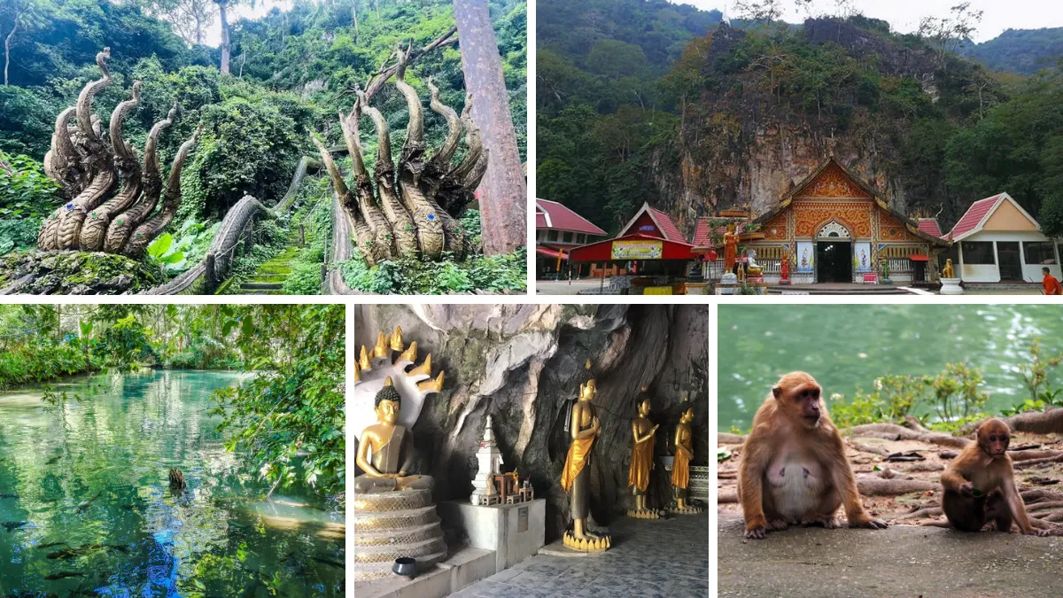 Wat Tham Pla (Monkey Cave Temple)