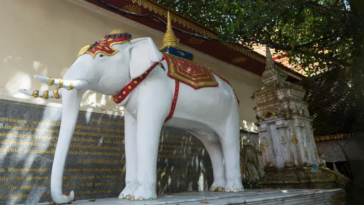 White Elephant in Wat Phra That Doi Suthep