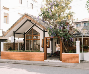 budget and hostels