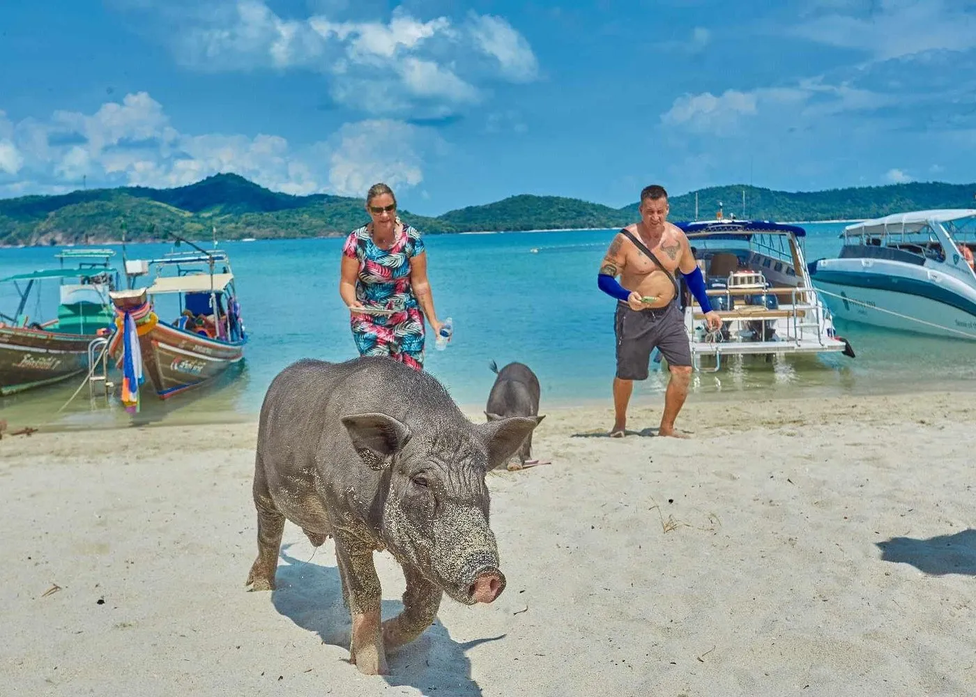 Pig Island Tour by Speedboat with Snorkeling