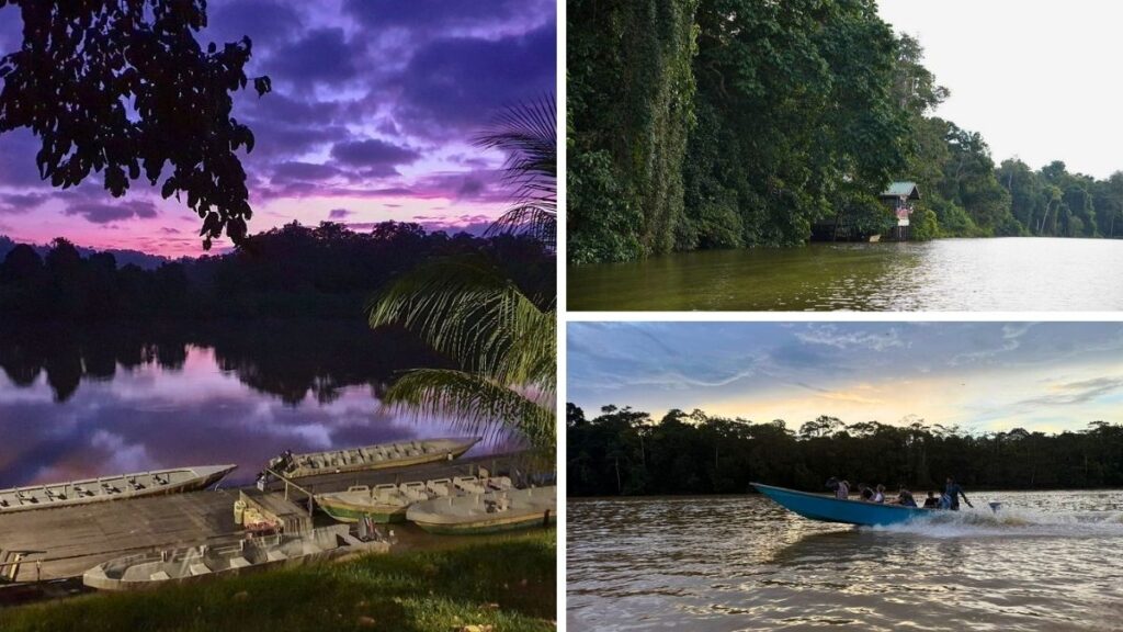 Dawn, afternoon, and dusk Kinabatangan River Cruise Times
