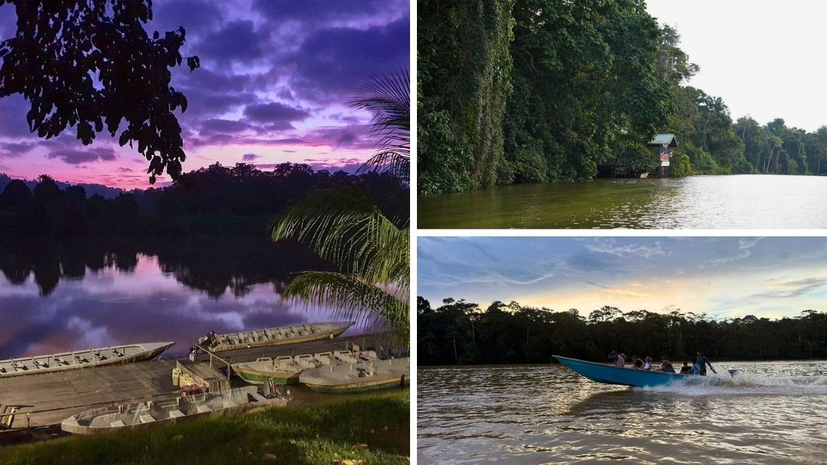 Dawn, afternoon, and dusk Kinabatangan River Cruise Times