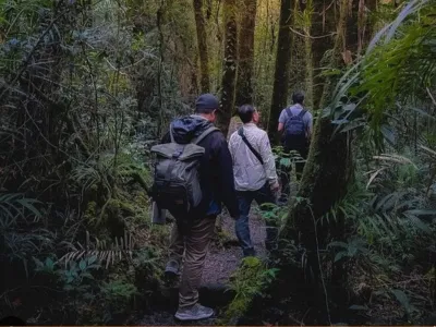 Day Trip to Kinabalu Park and Poring Hot Spring Guided Tour