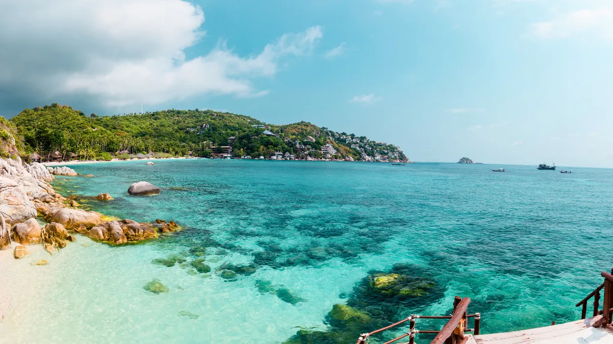 shark bay in Koh Tao Island, Thailand