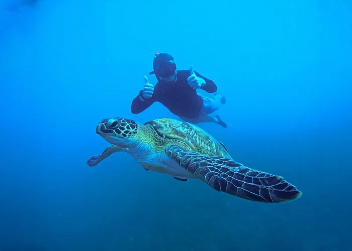 snorkeling