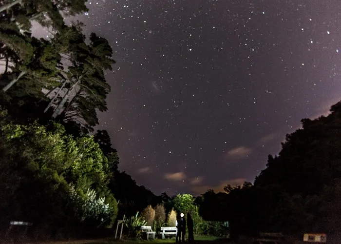 stars